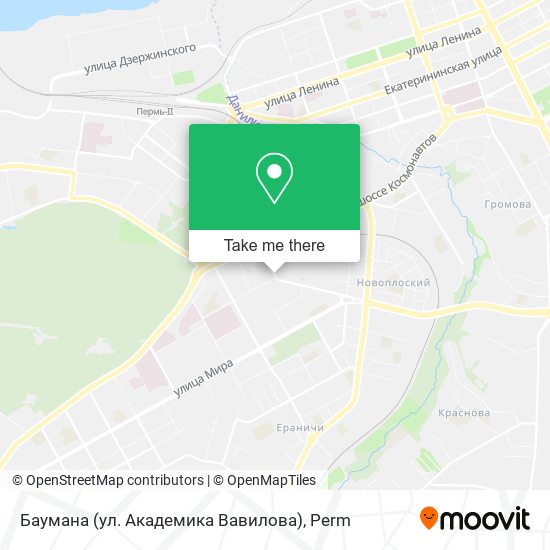 Баумана (ул. Академика Вавилова) map