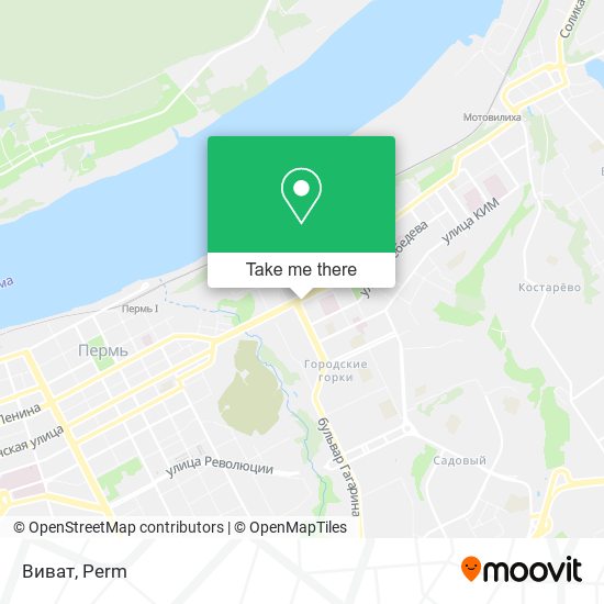Виват map