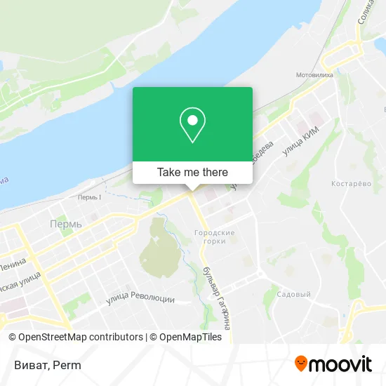 Виват map