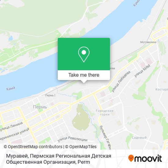 Муравей, Пермская Региональная Детская Общественная Организация map