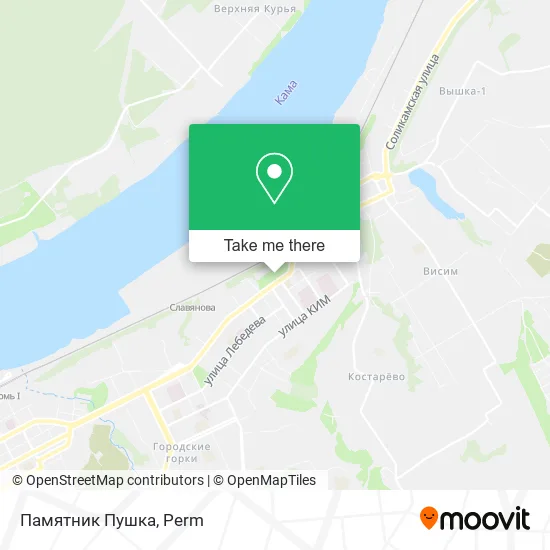 Памятник Пушка map