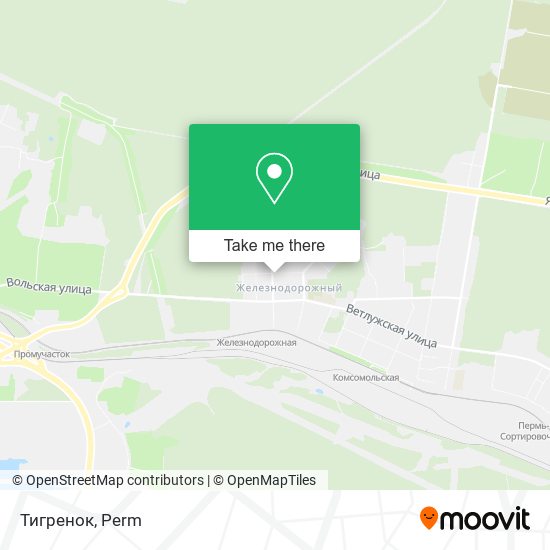 Тигренок map