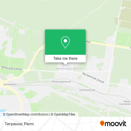 Тигренок map