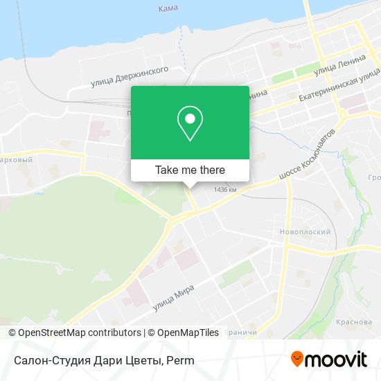 Салон-Студия Дари Цветы map
