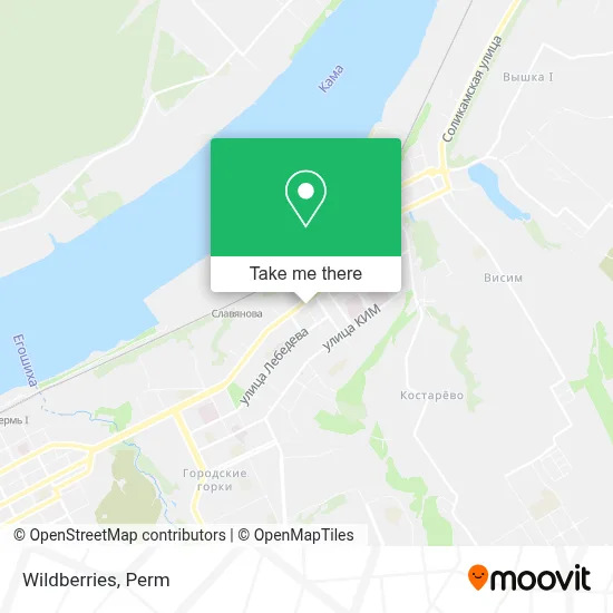 Wildberries map