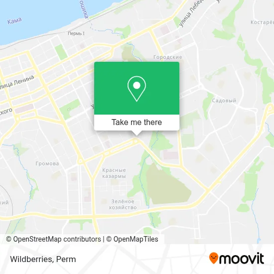 Wildberries map