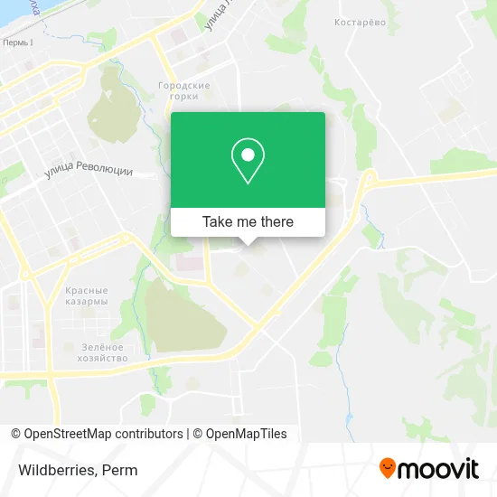 Wildberries map