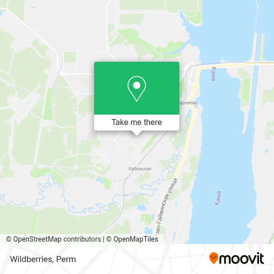 Wildberries map