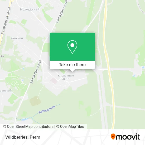 Wildberries map