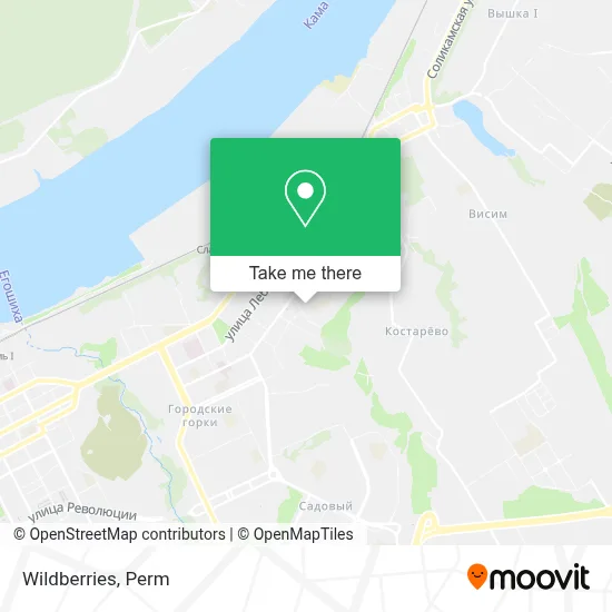 Wildberries map