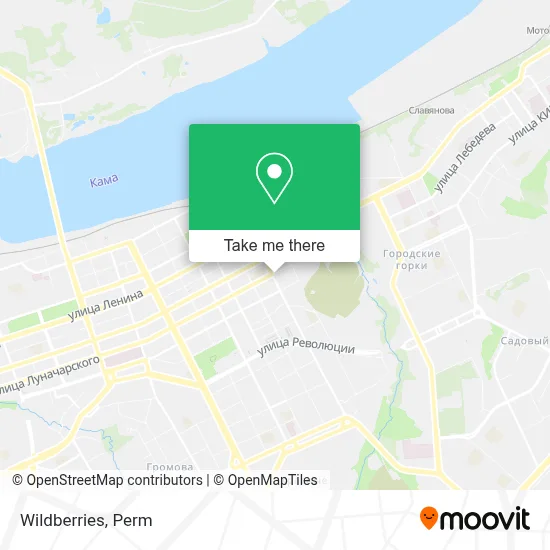 Wildberries map