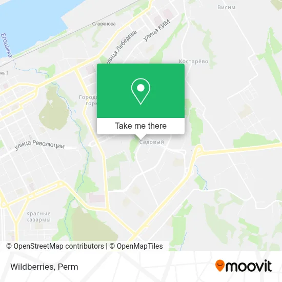 Wildberries map