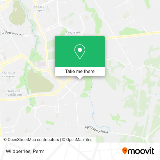 Wildberries map