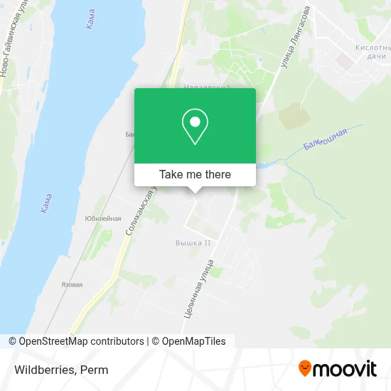 Wildberries map