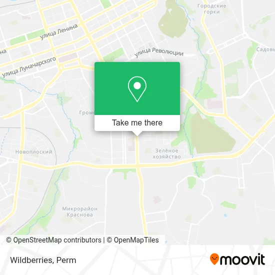 Wildberries map
