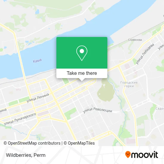 Wildberries map
