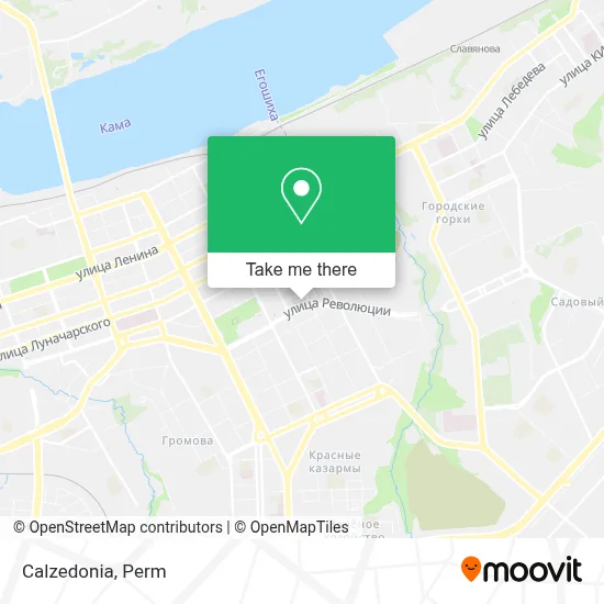 Calzedonia map