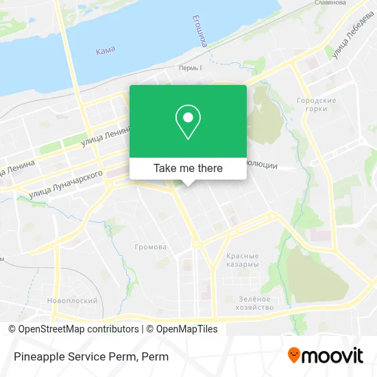 Pineapple Service Perm map