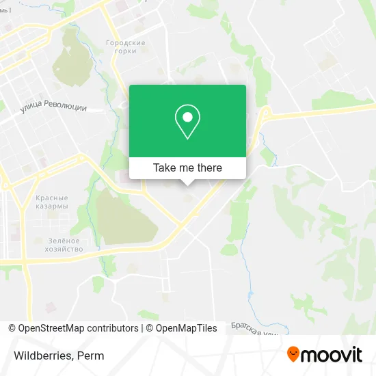 Wildberries map