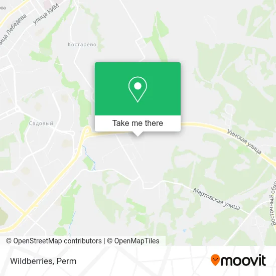 Wildberries map