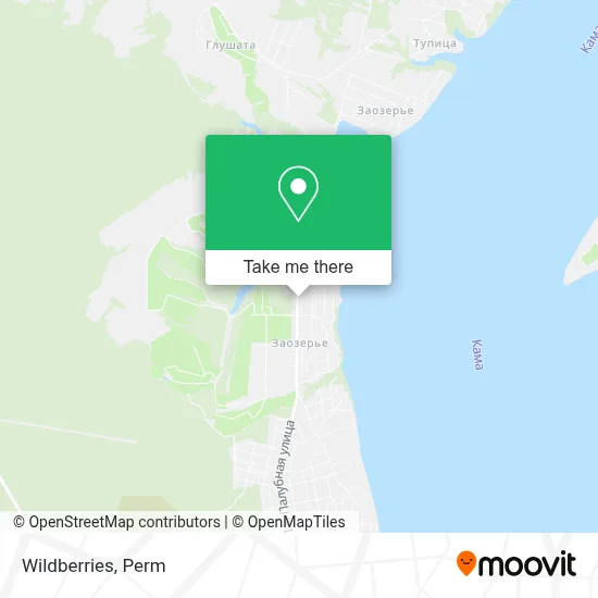 Wildberries map