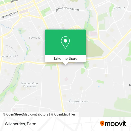 Wildberries map
