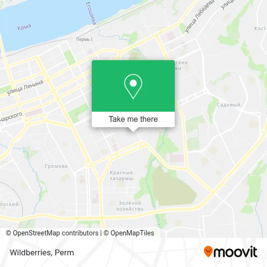 Wildberries map