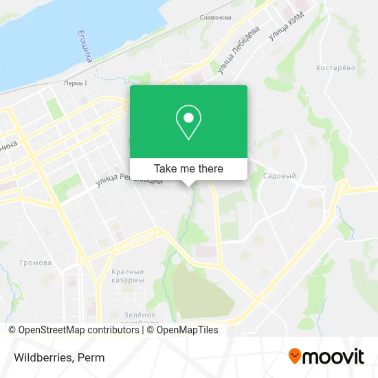 Wildberries map