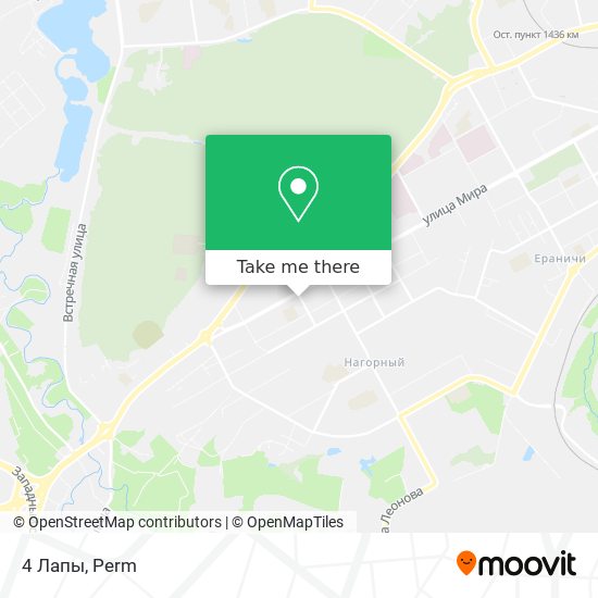 4 Лапы map