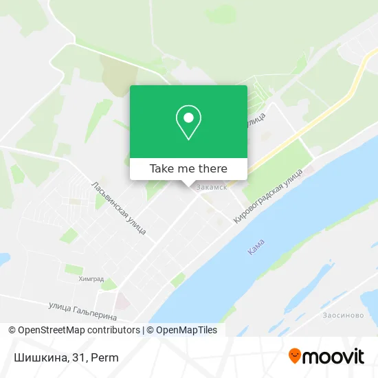 Шишкина, 31 map