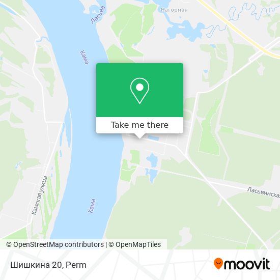 Шишкина 20 map