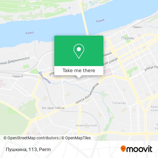 Пушкина, 113 map