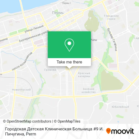 Городская Детская Клиническая Больница #9 И. Пичугина map