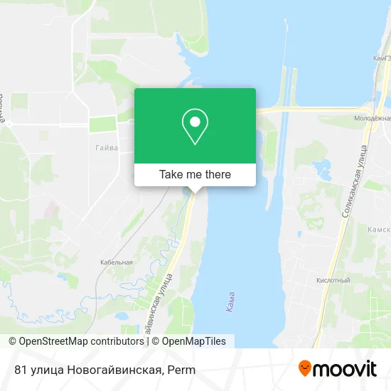 81 улица Новогайвинская map
