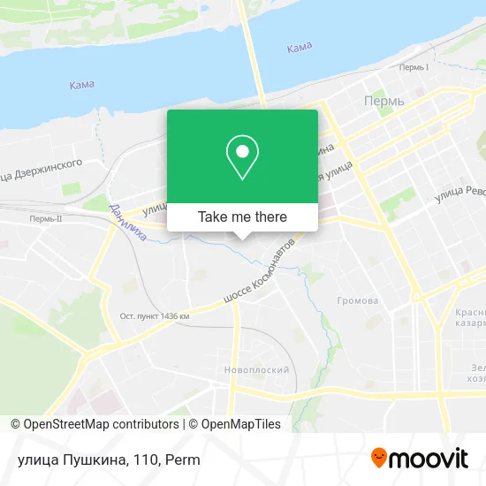 улица Пушкина, 110 map