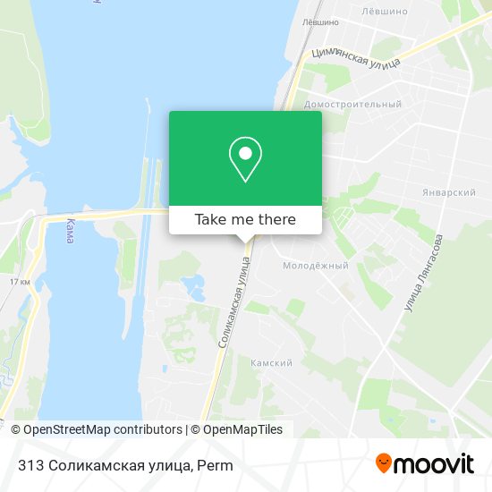 313 Соликамская улица map