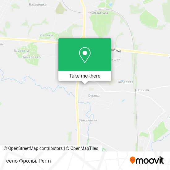 село Фролы map