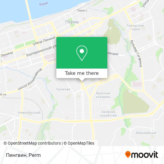 Пингвин map