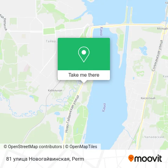 81 улица Новогайвинская map