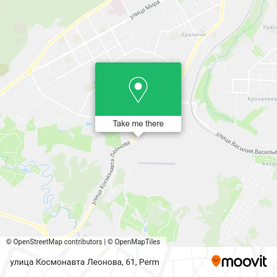 улица Космонавта Леонова, 61 map