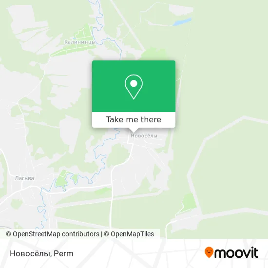 Новосёлы map