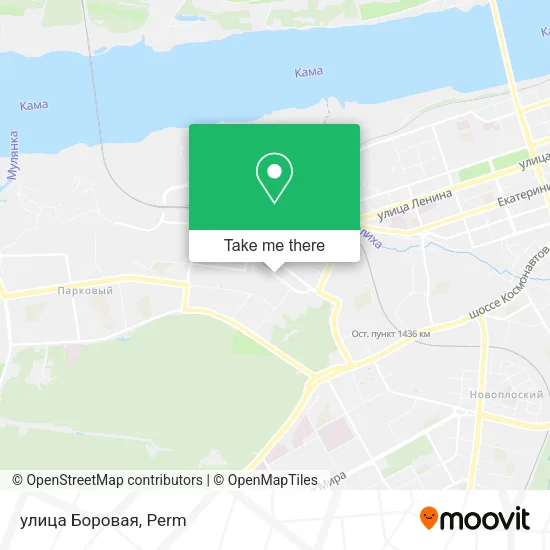 улица Боровая map