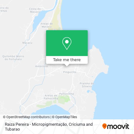 Raiza Pereira - Micropigmentação map