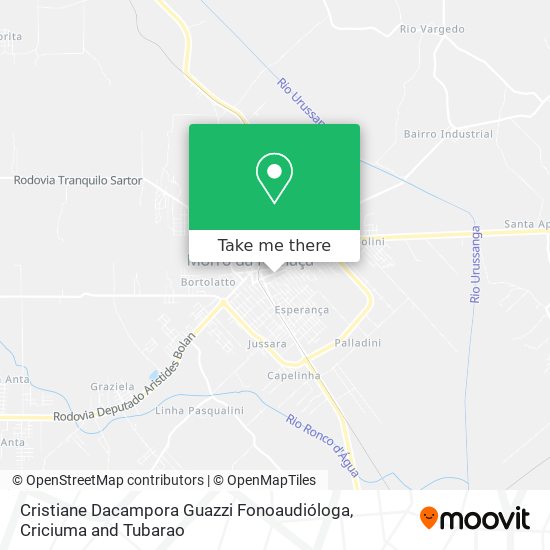 Cristiane Dacampora Guazzi Fonoaudióloga map