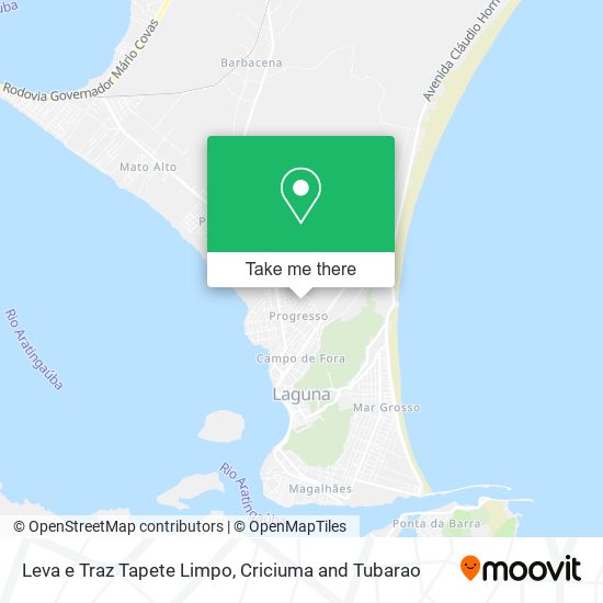 Leva e Traz Tapete Limpo map