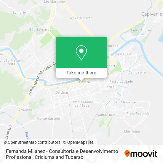 Fernanda Milanez - Consultoria e Desenvolvimento Profissional map