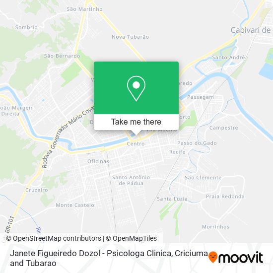 Janete Figueiredo Dozol - Psicologa Clinica map