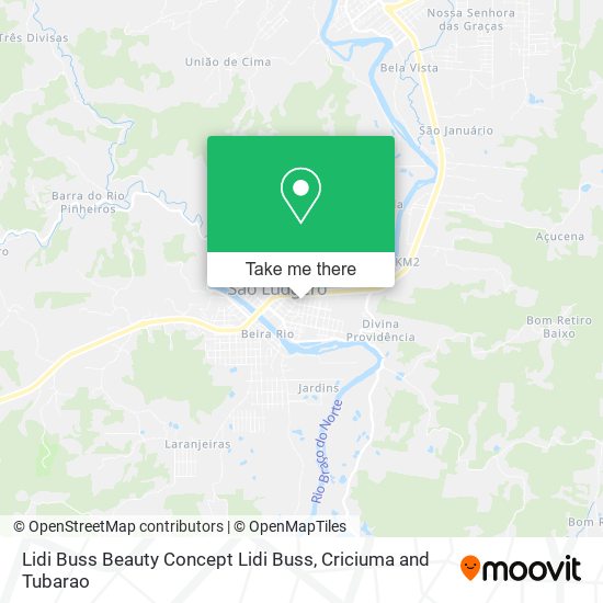 Lidi Buss Beauty Concept Lidi Buss map