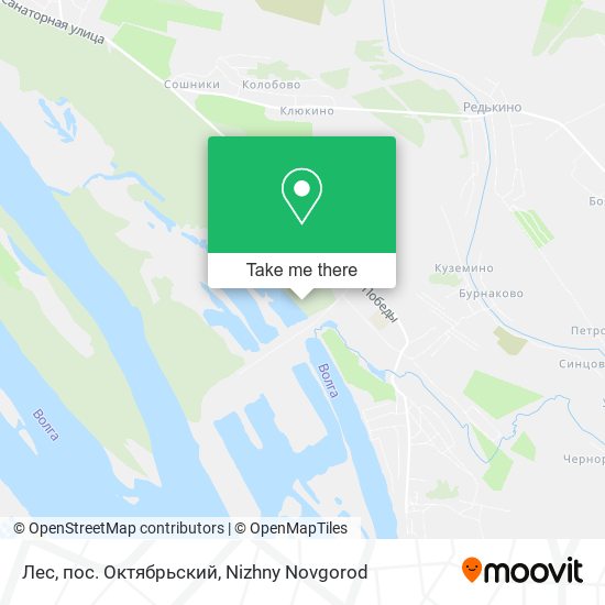 Лес, пос. Октябрьский map