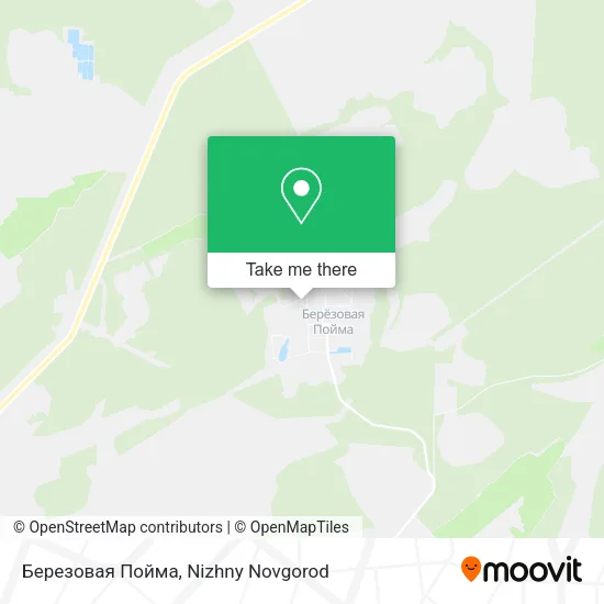 Березовая Пойма map